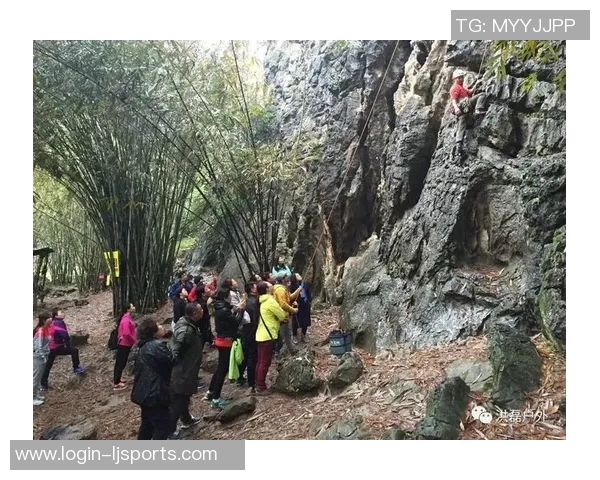 运动数据南京攀岩队个人能力分析及其对团队表现的影响研究